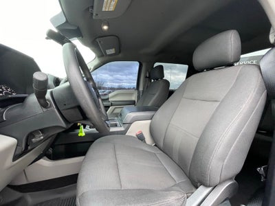 2020 Ford F-150 XL - 5.0L V8 / STX APPEARANCE PKG