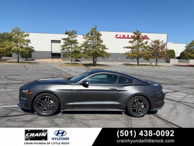 2019 Ford Mustang EcoBoost Premium Leather, Automatic