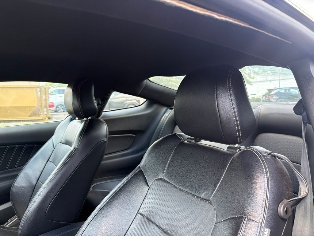 2019 Ford Mustang EcoBoost Premium Leather, Automatic