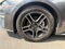 2019 Ford Mustang EcoBoost Premium Leather, Automatic