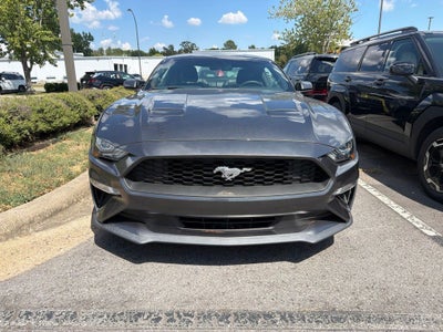 2019 Ford Mustang EcoBoost Premium Leather, Automatic