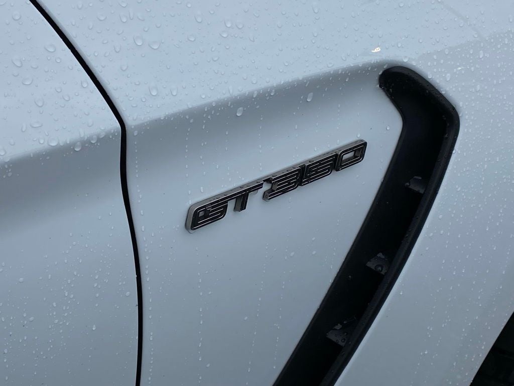 2019 Ford Mustang Shelby GT350