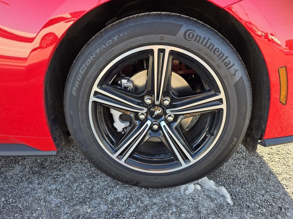 2025 Ford Mustang EcoBoost